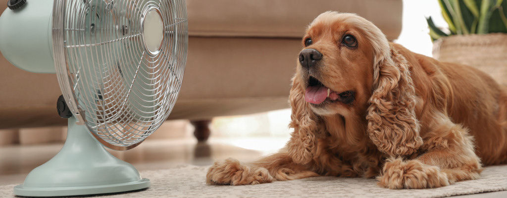 Getting your AC ready for summer is easier than you might think. Let our pros help your family stay cool when it's hot outside!