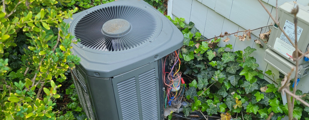 For maximum AC efficiency, always keep the area around your AC unit clear of plant life and other obstructions!